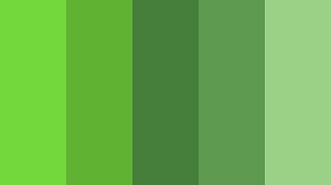 طیف های سبز-مقاله روانشناسی رنگ ها در طراحی سایت